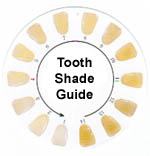 Tooth Shade Guide